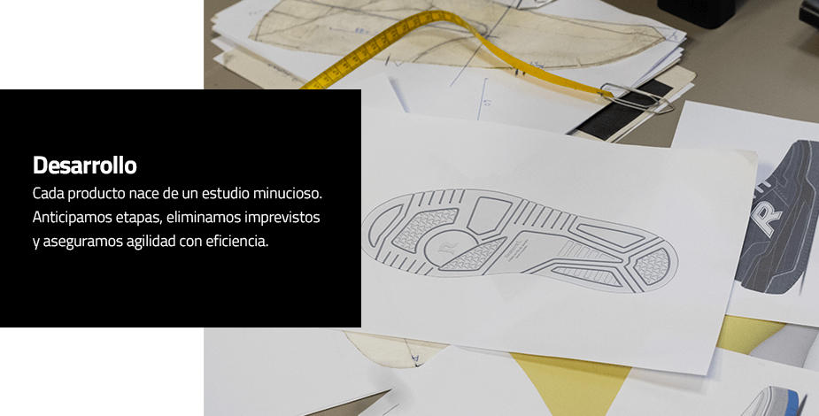 Desarrollo